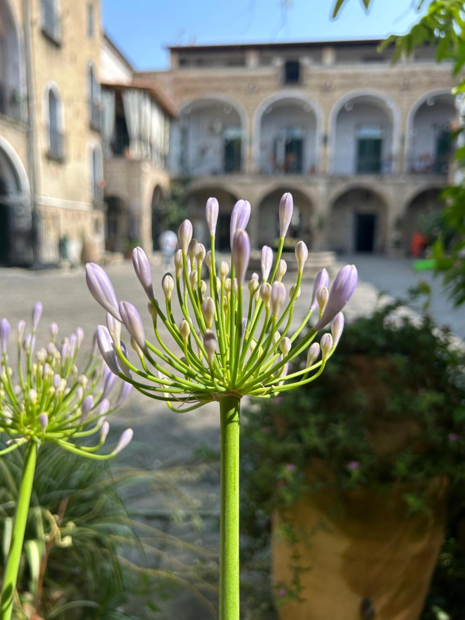 Palazzo Capece Apartment Caivano Luaran gambar